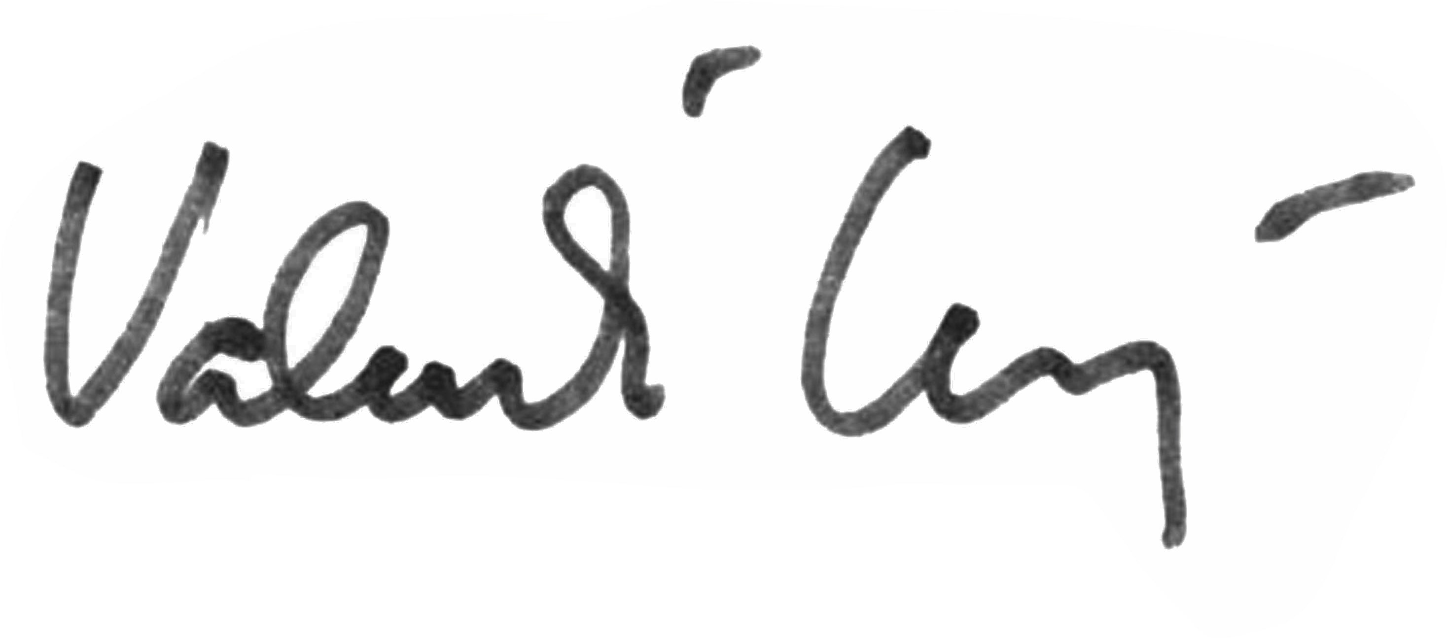 vviannayshop logo